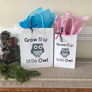 Owl Party Bag, Owl Party Favor Bags, Owl Baby Shower Treat Bag, Owl Baby Shower Decorations, Owl Party Supply, Owl Birthday Party Supplies