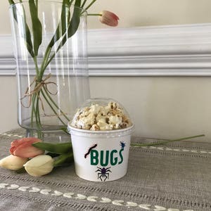 Bug Birthday Snack Cup, Bug Birthday Party, Bug Party Favors, Insect Birthday Party, Bug Party Supplies, Insect Party Supplies