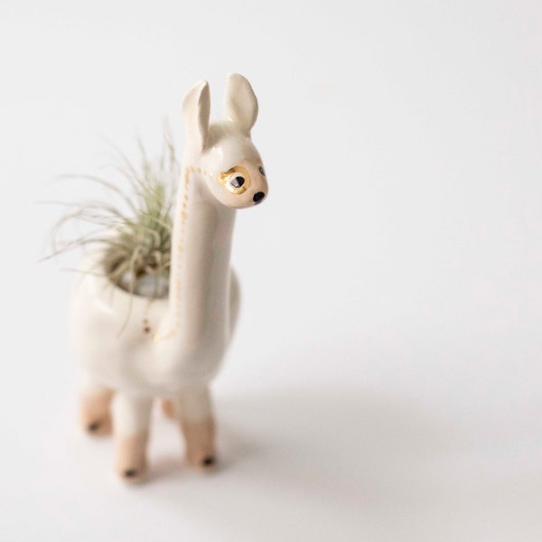 Llama Monomal (llama planter, animal planter, monocle planter, alpaca planter, cute pot, air plant)