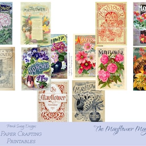 Mayflower Magazine Covers - Floral Journal Cards, Botanische kaarten, Vintage Plant Magazine, Kleurrijke kaarten, Victoriaanse Floral Magazine Covers