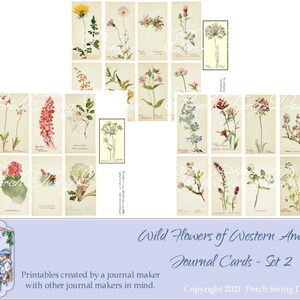 Wild Flowers of Western America Set 2 - Journal Cards Botanical Plates Ephemera Vintage Flowers Instant Downloads Printables Digikits