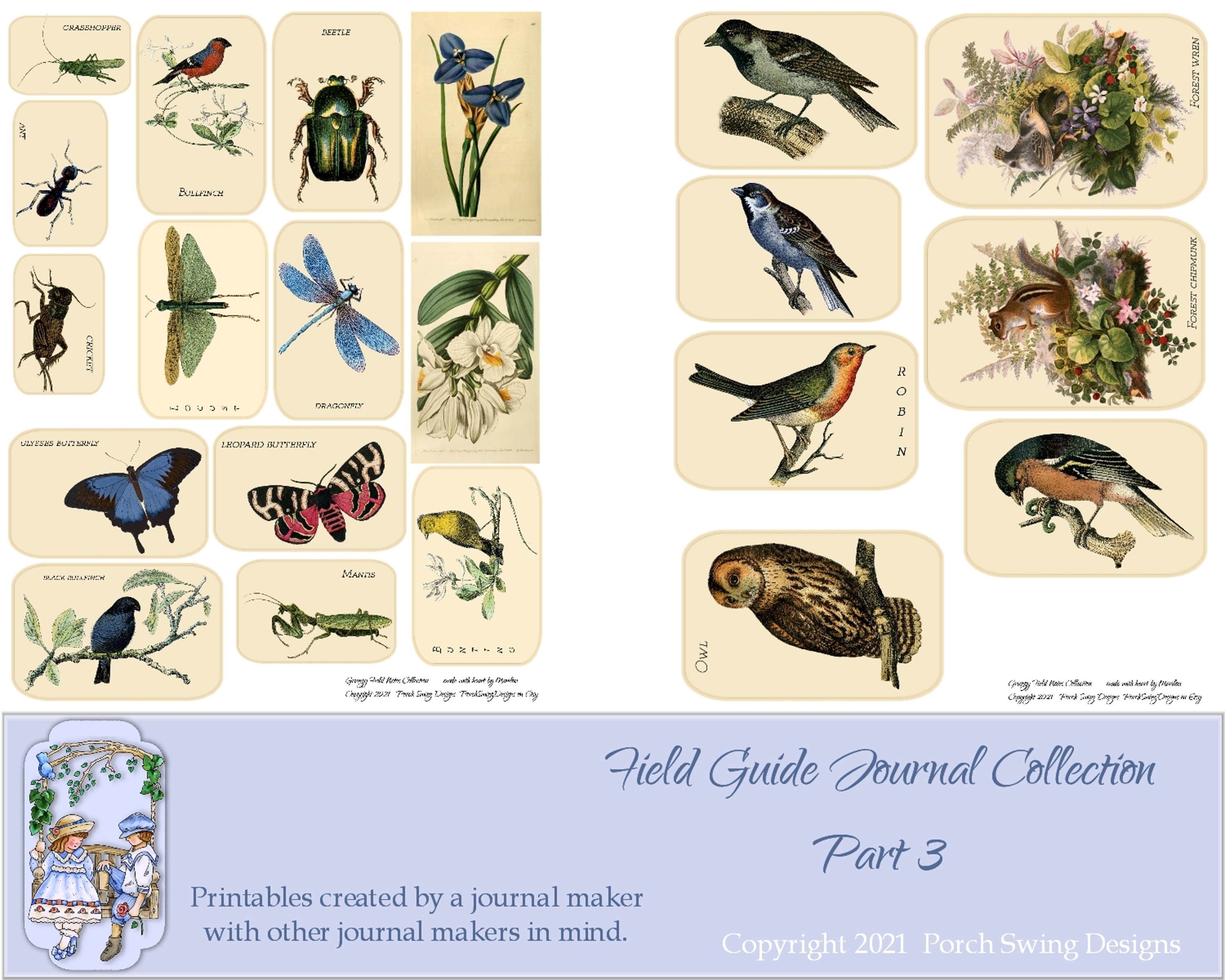 Field Guide Journal Collection Part 3 Nature Minijournal Etsy