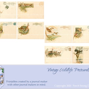 cartes postales vintage animalières - Journal éphémères, cartes postales, renard, canards, lapins, wapiti, faisan, chèvre, cartes postales anciennes, éphémères, produits à imprimer
