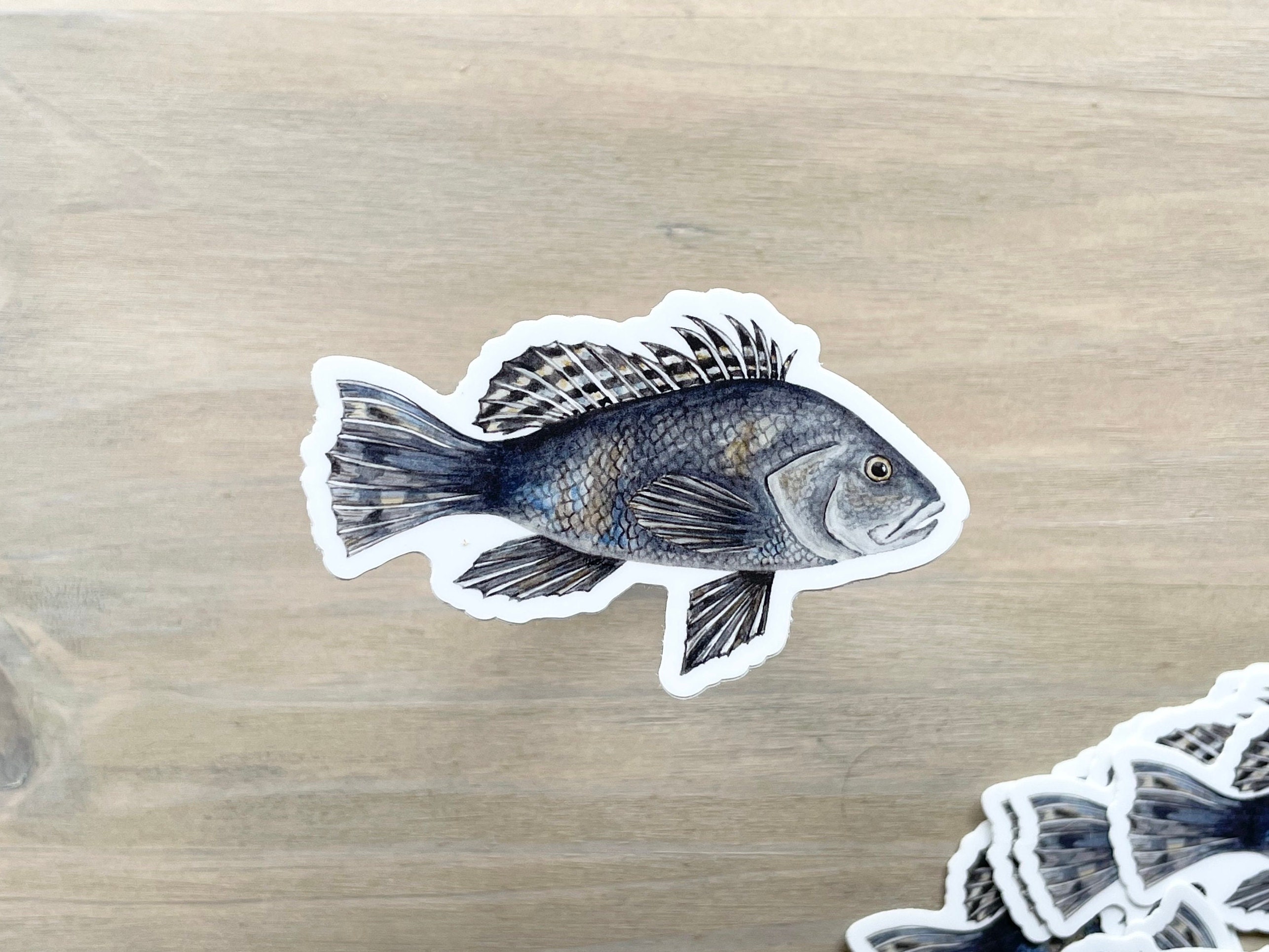 Tarpon Fishing CLEAR Vinyl Decal, Fish Art Print, Yeti Fish Sticker, Fishing  Decor & Accessories, Fly Fishing Gift for Him, Fishing Sticker 