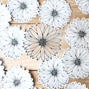 Daisy STICKER | Clear Matte, Daisy Car Sticker, Daisy Drawing, Flower Sticker, Daisy Line Drawing, Die Cut Sticker, Laptop Sticker image 7