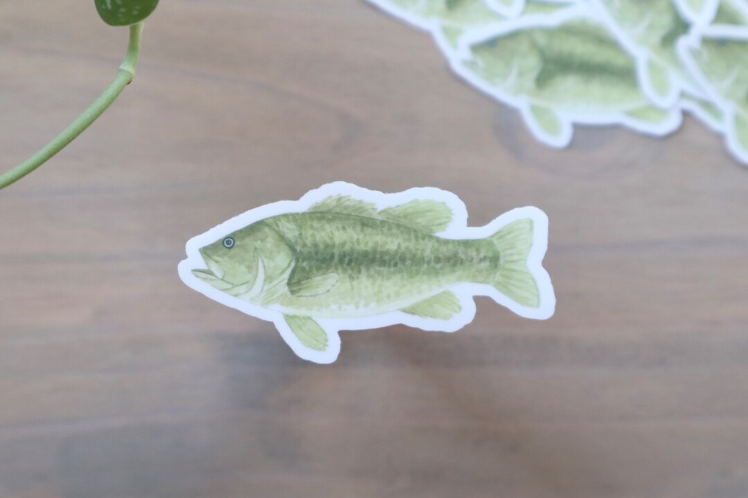 Largemouth Bass STICKER Watercolor Bass Sticker, Truck Sticker, Green ...