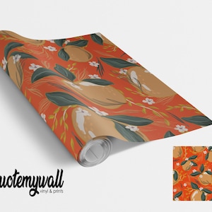 Orange Peach Fruits Vinyl Furniture Wrap