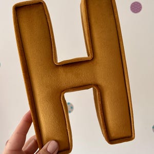 Velvet letters