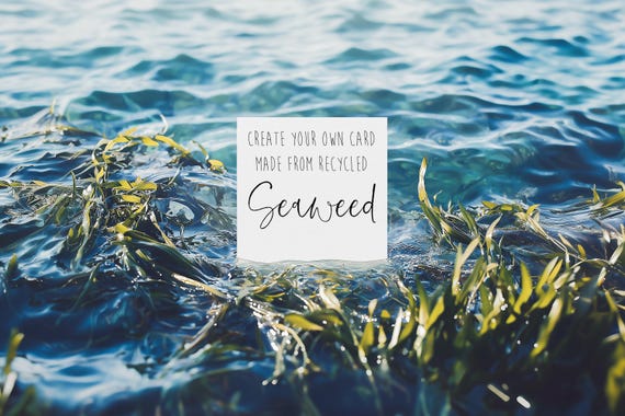 Personalised Recycled Seaweed Card | Eco Friendly Minimalist Greeting Card UK