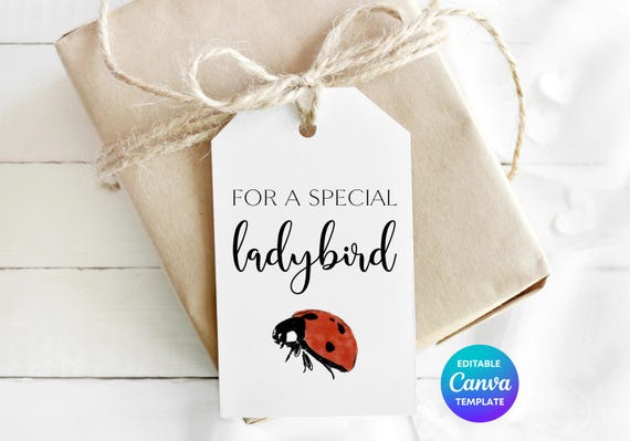 For a Special Ladybird Gift Tag Template | Cute Ladybird Thank You Tag | Printable Nature Teacher Gift Tag | Editable Canva Tag