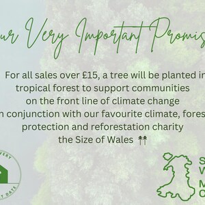 Op de afbeelding: Een groene en witte afbeelding met de tekst "Our Very Important Promise..." en een beschrijving van een programma om bomen te planten in tropische bossen om gemeenschappen te ondersteunen die aan de frontlinie van de klimaatverandering staan. De afbeelding bevat ook een kaart van Wales met de tekst "Size of Wales" en "Maint Cymru".