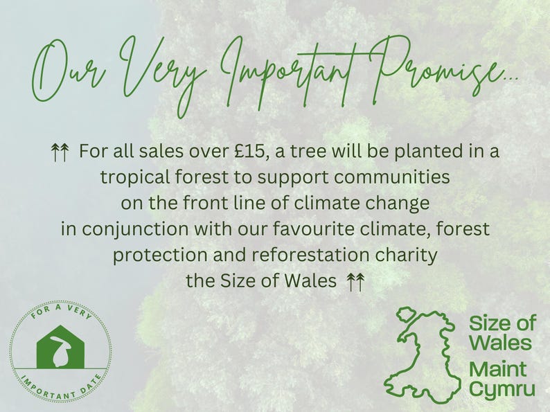 Op de afbeelding: Een groene en witte afbeelding met de tekst "Our Very Important Promise..." en een beschrijving van een programma om bomen te planten in tropische bossen om gemeenschappen te ondersteunen die aan de frontlinie van de klimaatverandering staan. De afbeelding bevat ook een kaart van Wales met de tekst "Size of Wales" en "Maint Cymru".