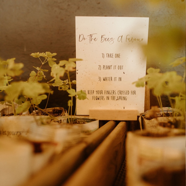 Op de afbeelding: Een wit bord met de tekst "Do The Bees a Favour" en instructies om er een te nemen, te planten en water te geven. Het bord staat op een houten standaard en is omringd door kleine potplanten.
