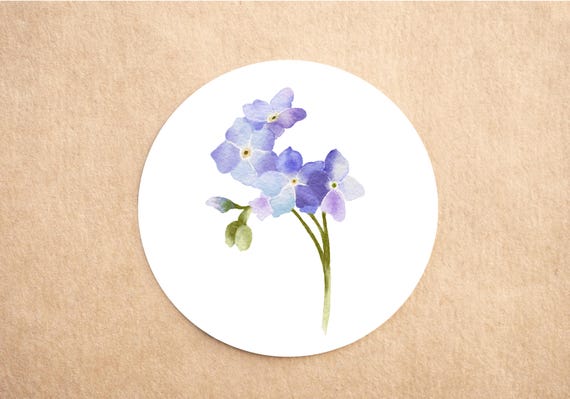 Eco Friendly Thank You Stickers | Recycled Packaging Stickers | Forget Me Not Botanical Labels | Small Business Packaging