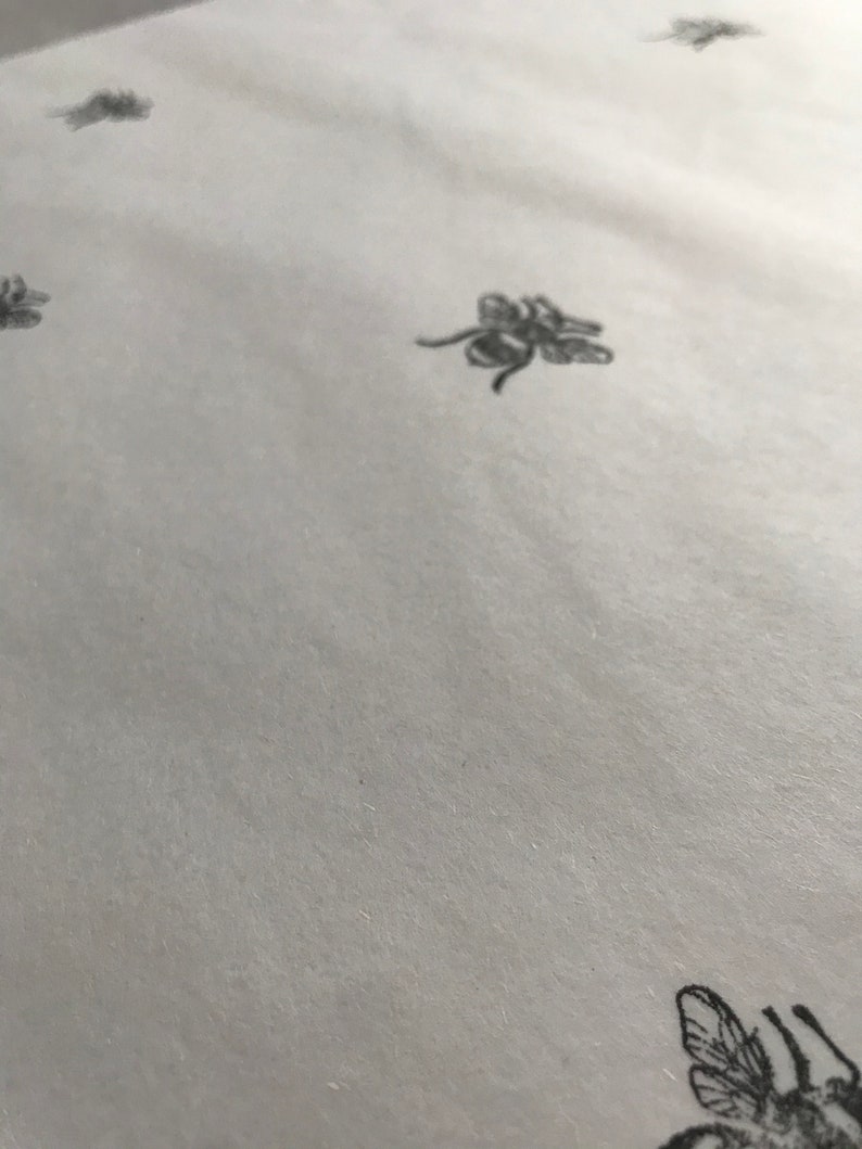 May include: White wrapping paper with a repeating pattern of black bees.