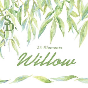Wilg Aparte elementen Aquarel clipart Handgeschilderd Groen blad Digitale takken Bladblad Bedrukbaar Trouw diy