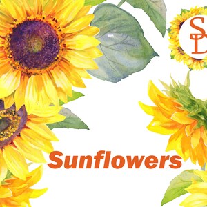 Könnte beinhalten: Aquarellmalerei von Sonnenblumen mit grünen Blättern. Die Sonnenblumen sind gelb mit braunen Zentren. Der Text "Sunflowers" ist in orangefarbenen Buchstaben unter den Blumen geschrieben.