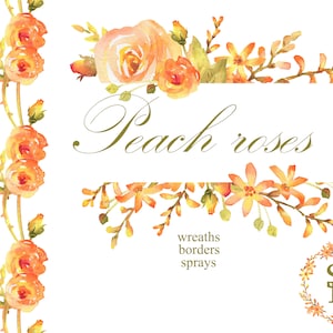 May include: Watercolor illustrations of peach roses, wreaths, borders, and sprays. The text "Peach roses" is written in cursive script.
