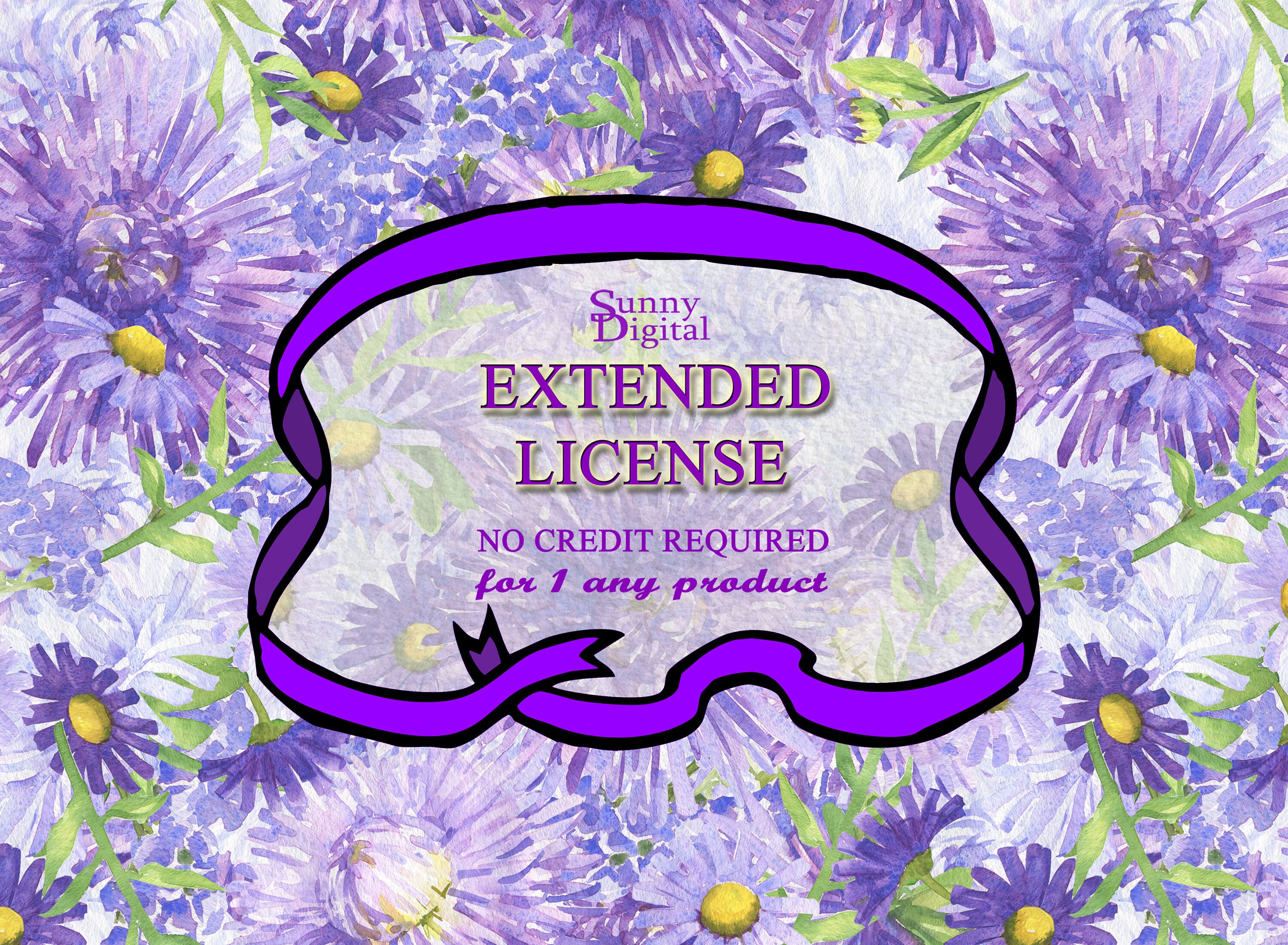 EXTENDED LICENSE No Credit Required / Single Product Etsy