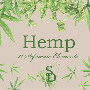 May include: Watercolor illustration of hemp leaves and flowers. The image features 21 separate elements and the text "Hemp 21 Separate Elements".