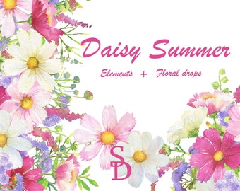 Daisy Summer clipart Malowane ręcznie akwarelą Element kwiatowy Wydrukuj ślub diy Cyfrowy kwiat Biały różowy cosmea Niebieski ageratum pobierz