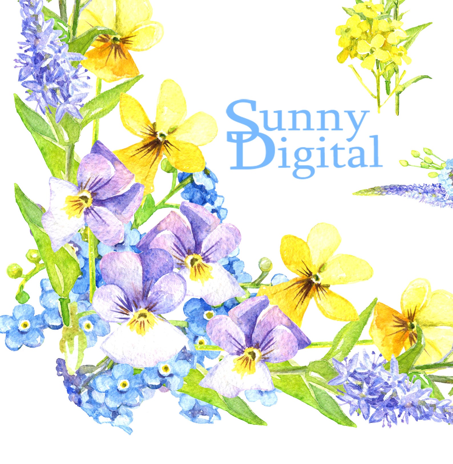 Summer Meadow Watercolor Set Wreath Digital Flower Corner Grass Green ...