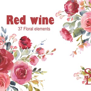 Rode wijnstok bloemenelementen Aquarel clipart Bloem afbeelding PNG Afdrukbare bruiloft bruidsontwerp Roze decor download Marsala blash rose digitaal