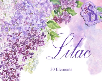 Clipart lila Kwiatowa akwarela Malowane ręcznie kwiaty wiosenne Biały lilak PNG Cyfrowy różowy lilak Do druku oddzielne elementy Ślub DIY