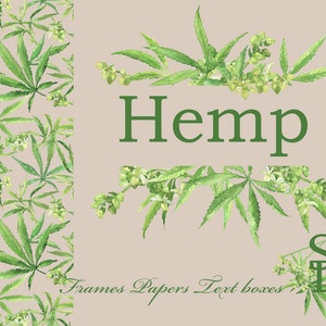 Hemp text box Cannabis textile pattern Watercolor leafy clipart Digital border image Seamless paper transparent Printable square frame PNG