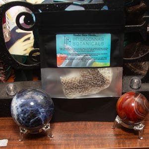 May include: A small black bag with a clear front containing a snake skin shed. The bag has a white label with the text "Snake Skin Sheds BellaDonna's Botanicals".