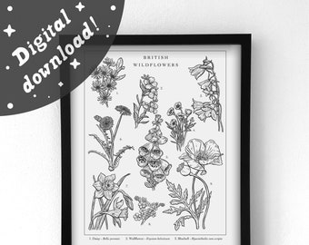 Botanical Illustration | British Wildflowers | Vintage Style Digital Download Printable