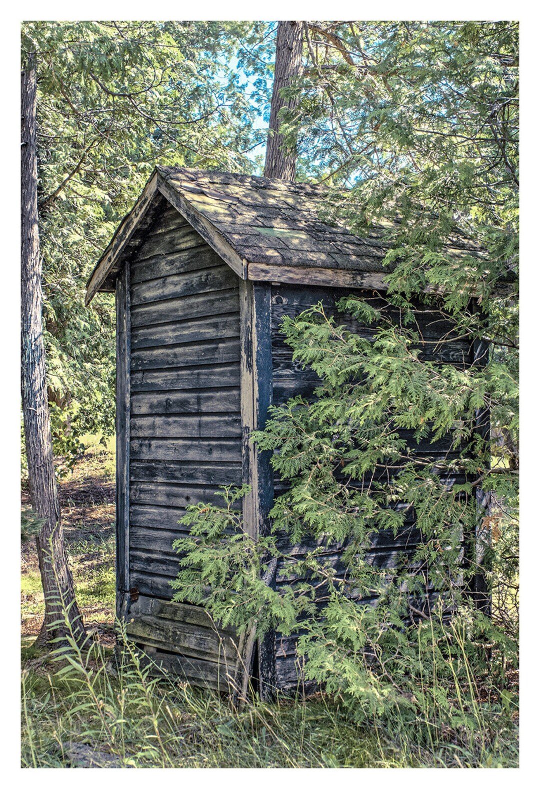 Abandoned Outhouse Art & Collectible Photo Giclee Prints for Home Decor