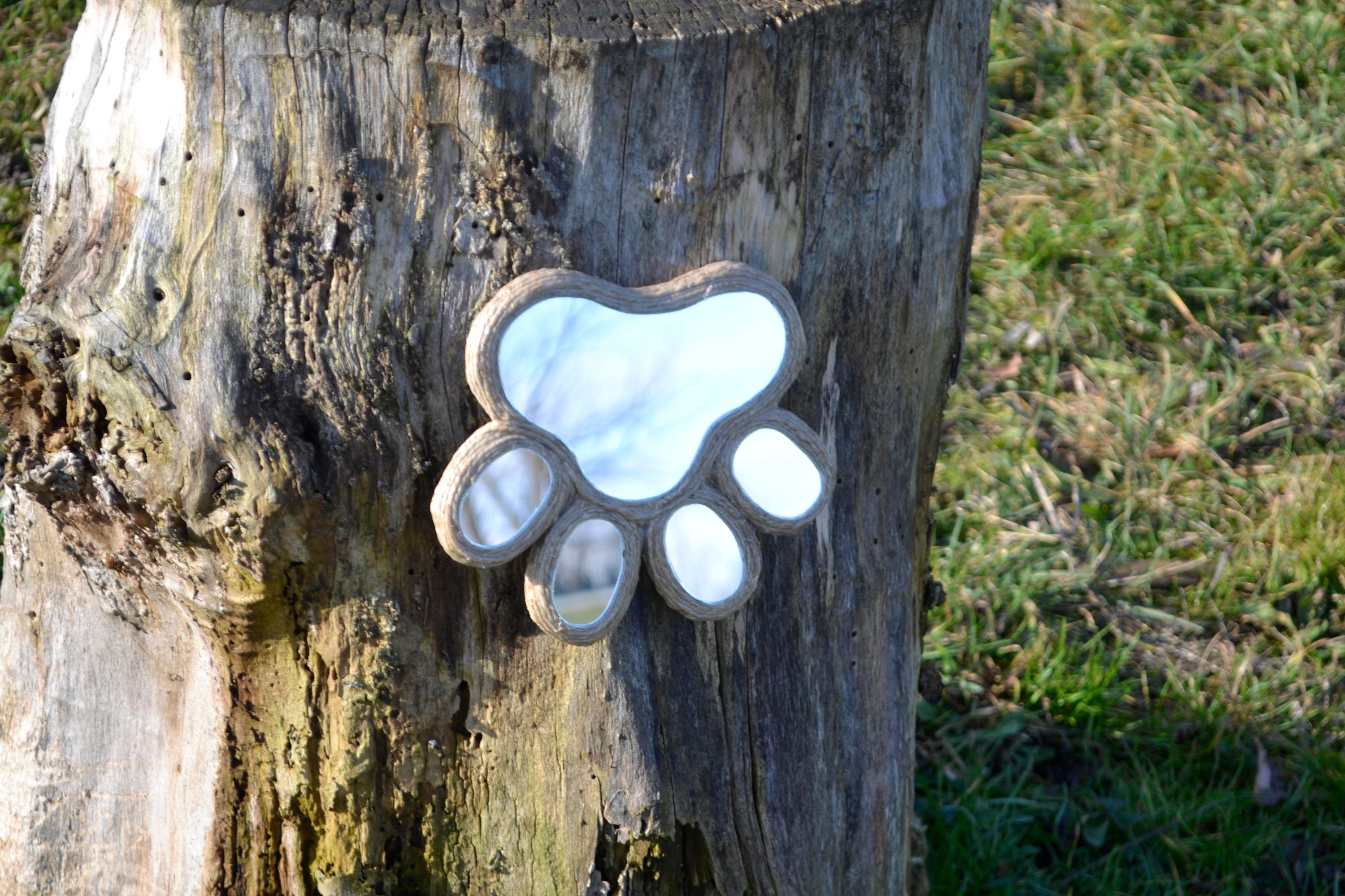 Unbelievable! How A Cat'S Paw Mirrors Your Hand. - 9lvxaqs