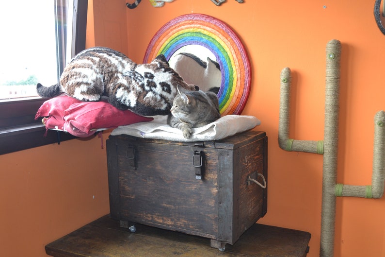 Op de afbeelding: Een bruine houten opbergkist met metalen sluitingen en een touwhandvat. Een grijze kat ligt op een wit deken op de kist. Een knuffeldier dat lijkt op een tijger ligt op een rood kussen op een plank boven de kist. Een regenboogkleurige spiegel hangt aan de muur achter de kist.