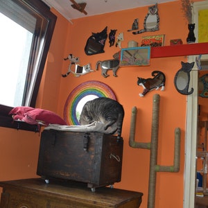 Op de afbeelding: Een kamer die is versierd met een verscheidenheid aan katten-muurkunst, waaronder spiegels, sculpturen en een regenboog. Een kat zit op een houten kist met wielen. De kamer is geschilderd in een warme oranje kleur.