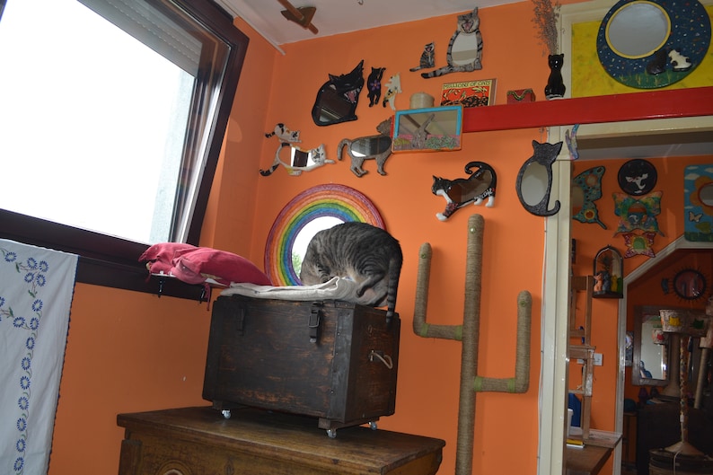 Op de afbeelding: Een kamer die is versierd met een verscheidenheid aan katten-muurkunst, waaronder spiegels, sculpturen en een regenboog. Een kat zit op een houten kist met wielen. De kamer is geschilderd in een warme oranje kleur.