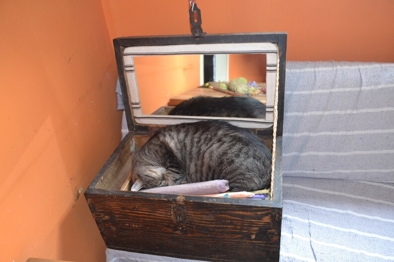 Iron Handler Large Wooden Box with Mirror Wooden Trunk w 1900s Antiques ANTIQUE WOODEN CHEST with Iron Reinforced Bottom Mirrored Box