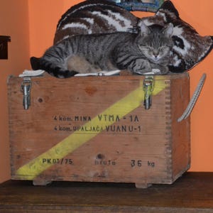 Große Holztruhe, 1960er Jahre, Vintage Holz Aufbewahrungsbox, Militär Holzkiste, große Holzkiste, abschließbar Holzkiste, Erinnerungsstücke für die Männerhöhle