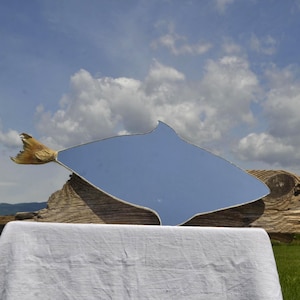 Espejo de pared con forma de tiburón y cola de bacalao real, sin marco, versátil, original, decoración de pared con tiburón, regalo de pescador.