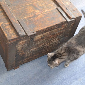 Op de afbeelding: Een verweerde houten kist met metalen scharnieren en een handvat. Een grijze tabbykat zit naast de kist.