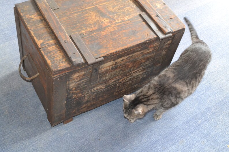Op de afbeelding: Een verweerde houten kist met metalen scharnieren en een handvat. Een grijze tabbykat zit naast de kist.