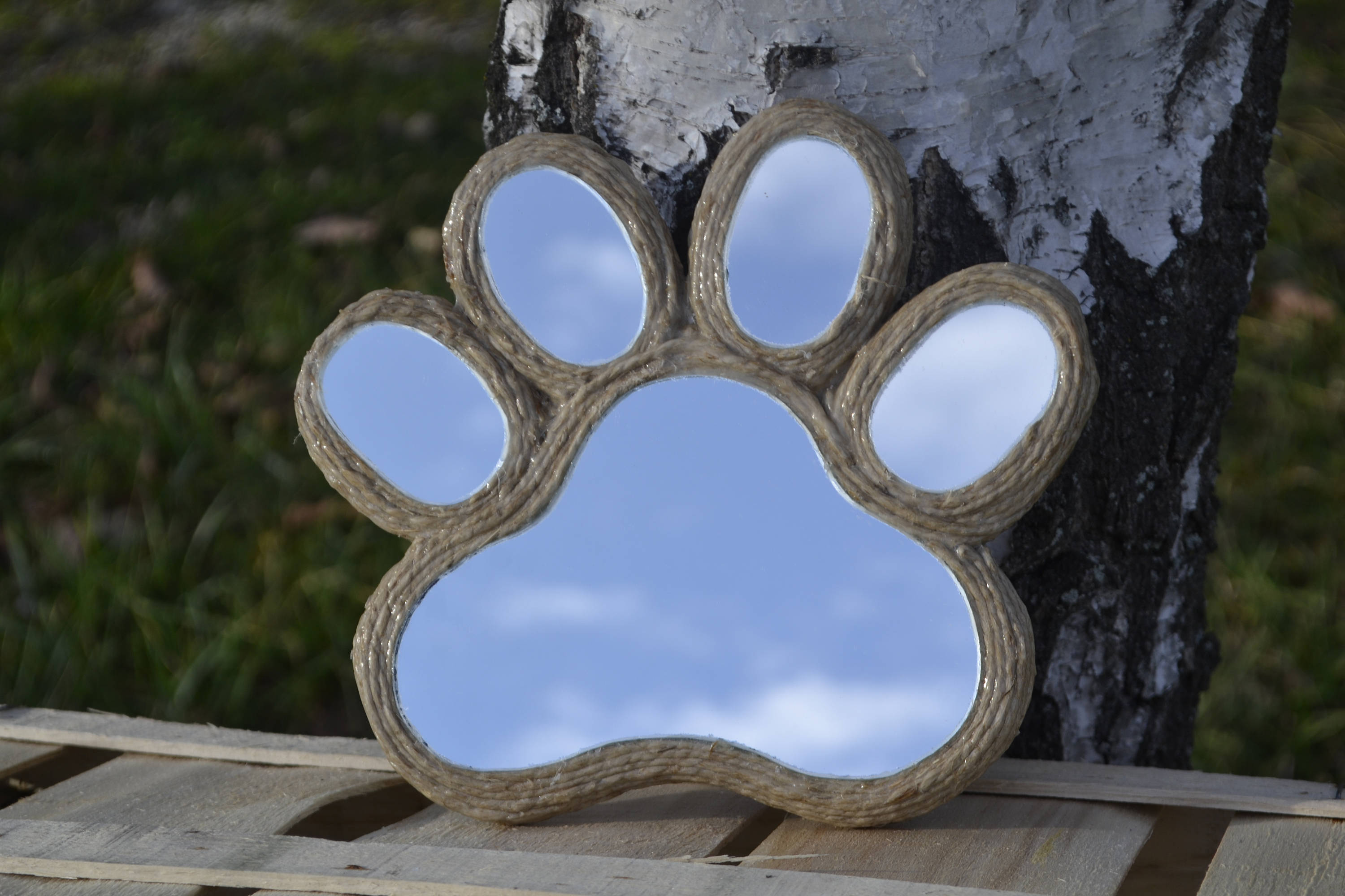 Unbelievable! How A Cat'S Paw Mirrors Your Hand. - 8cp8iwz