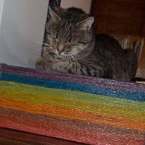 Puede incluir: Un gato atigrado gris con ojos verdes está sentado en una alfombra tejida arcoíris de colores. La alfombra tiene rayas de color morado, azul, verde, amarillo, naranja y rojo.