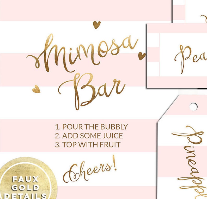 Pink Mimosa Bar Printable Sign Hang Tag Labels Fruit Name | Etsy