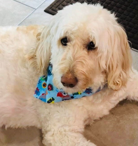 superhero dog bandana