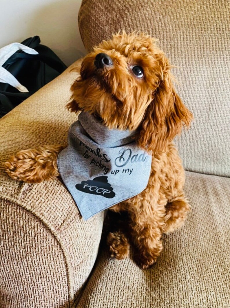 Thanks Dad For Picking Up My POOP Happy Fathers Day Funny Dog Bandana