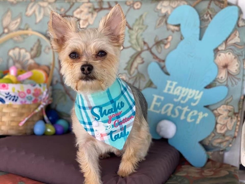Easter Dog Bandana Custom Dog Bandana Teal Polka Dot Print-\u201cShake your Cotton Tail\u201d with Fluffy Bunny Tail