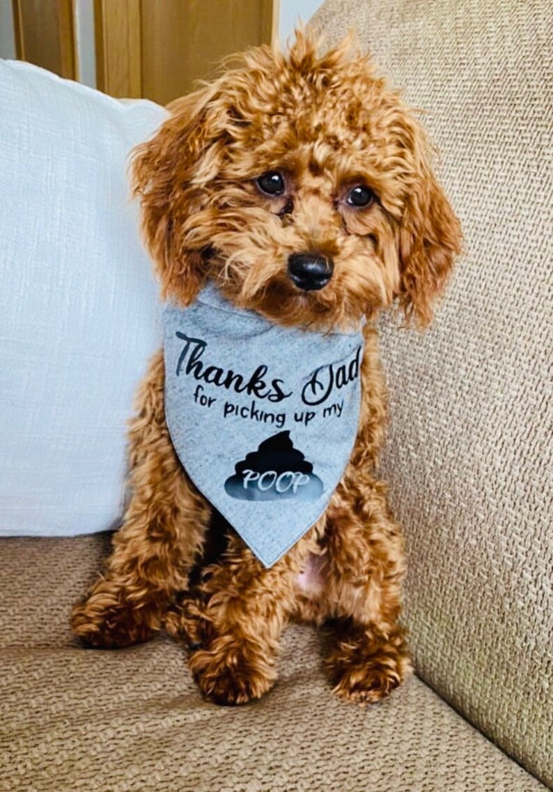Thanks Dad For Picking Up My POOP Happy Fathers Day Funny Dog Bandana