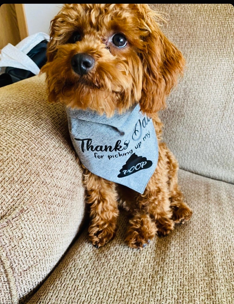 Thanks Dad For Picking Up My POOP Happy Fathers Day Funny Dog Bandana