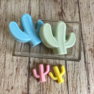 Pu&ograve; includere: Quattro saponi a forma di cactus in diversi colori: azzurro, verde chiaro, rosa e giallo. I saponi sono disposti su un piatto di vetro trasparente.